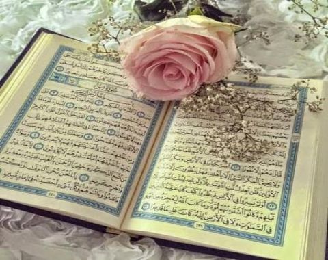 اهمیت علم و دانش از نظر قرآن