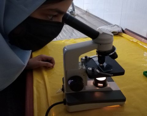 برگزاری کارگاه آموزشی کار با میکروسکوپ